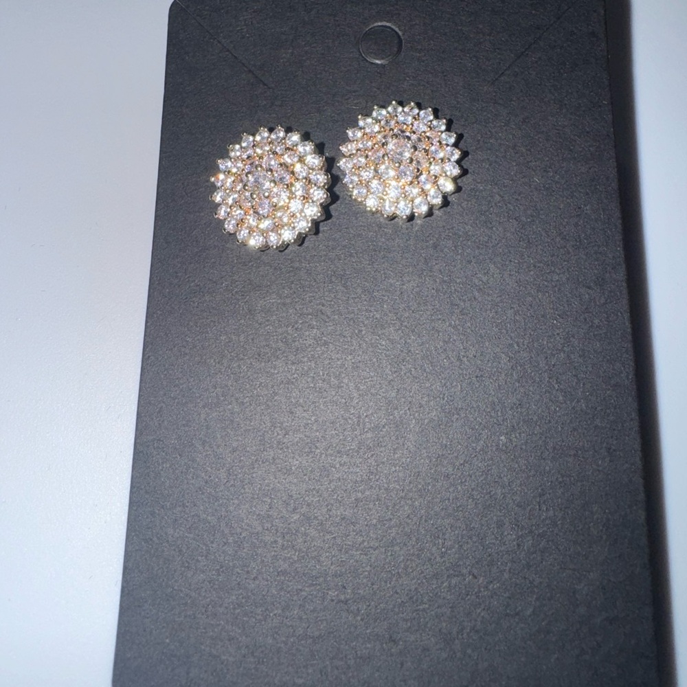 Elegant Gold and Silver Stud Earrings